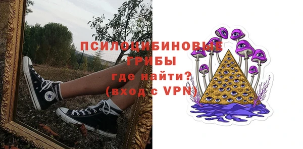 мяу мяу мука Саяногорск
