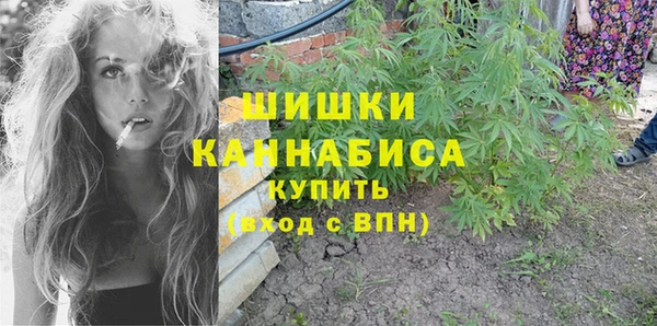 трава Армянск