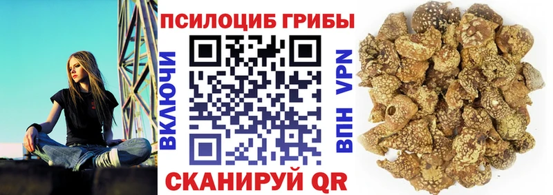 Галлюциногенные грибы ЛСД  Талица 
